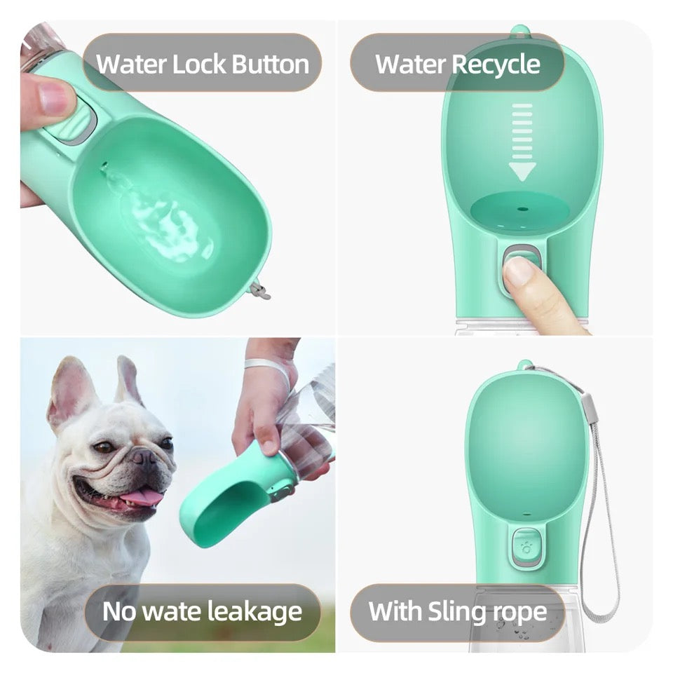 Portable water bottle