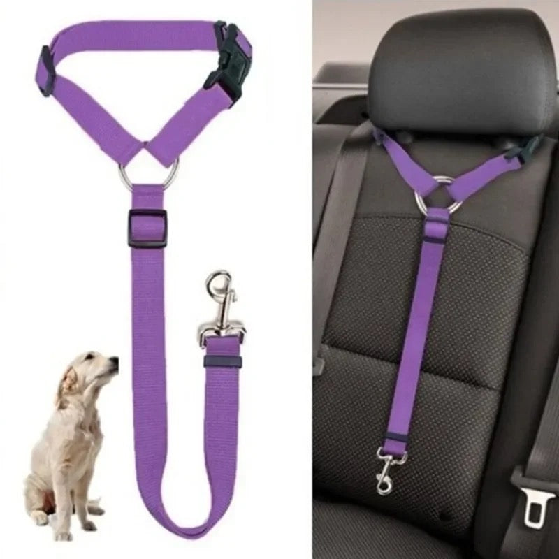 animals seat belt
