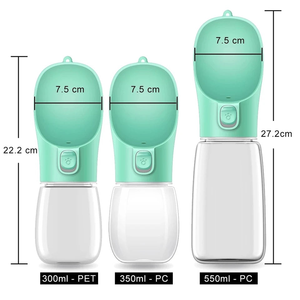 Portable water bottle