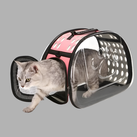 Transparent carrier