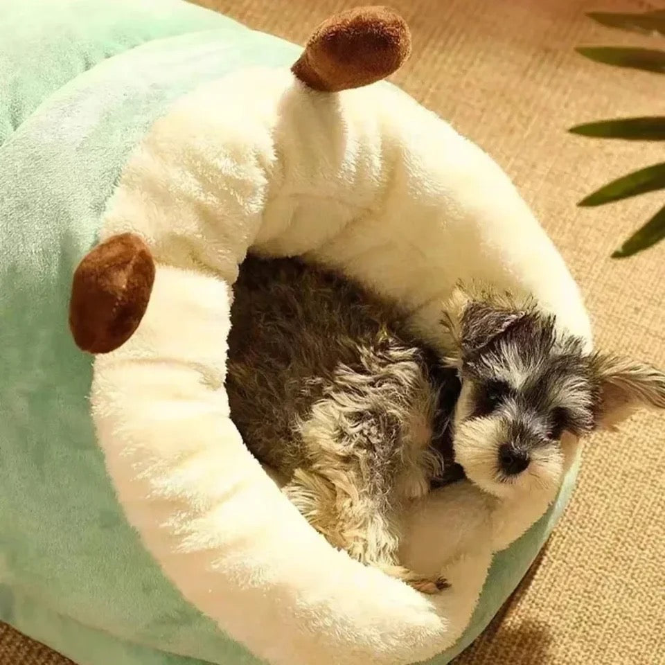 Dog house slipper