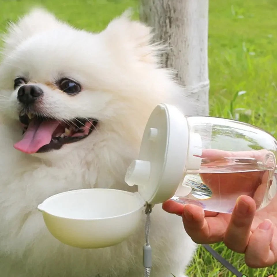 Pets portable water bottle